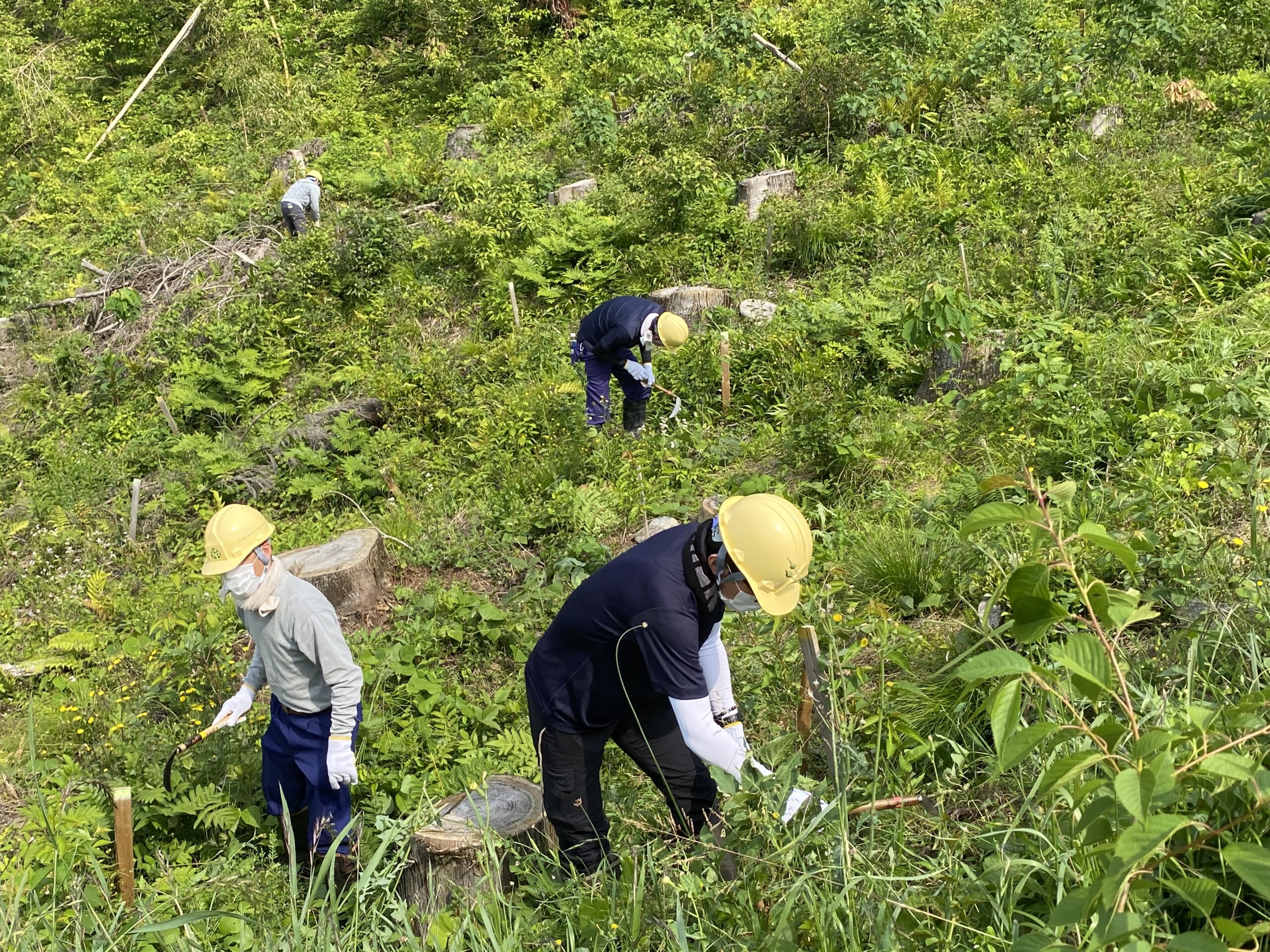 👇富山 市 コロナ 感染 者 最新 情報