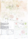 北日本新聞社賞作品